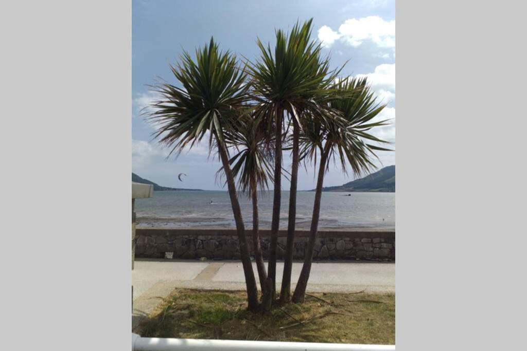 Are You Looking For A Big Piece Of Heaven? Warrenpoint Exteriér fotografie